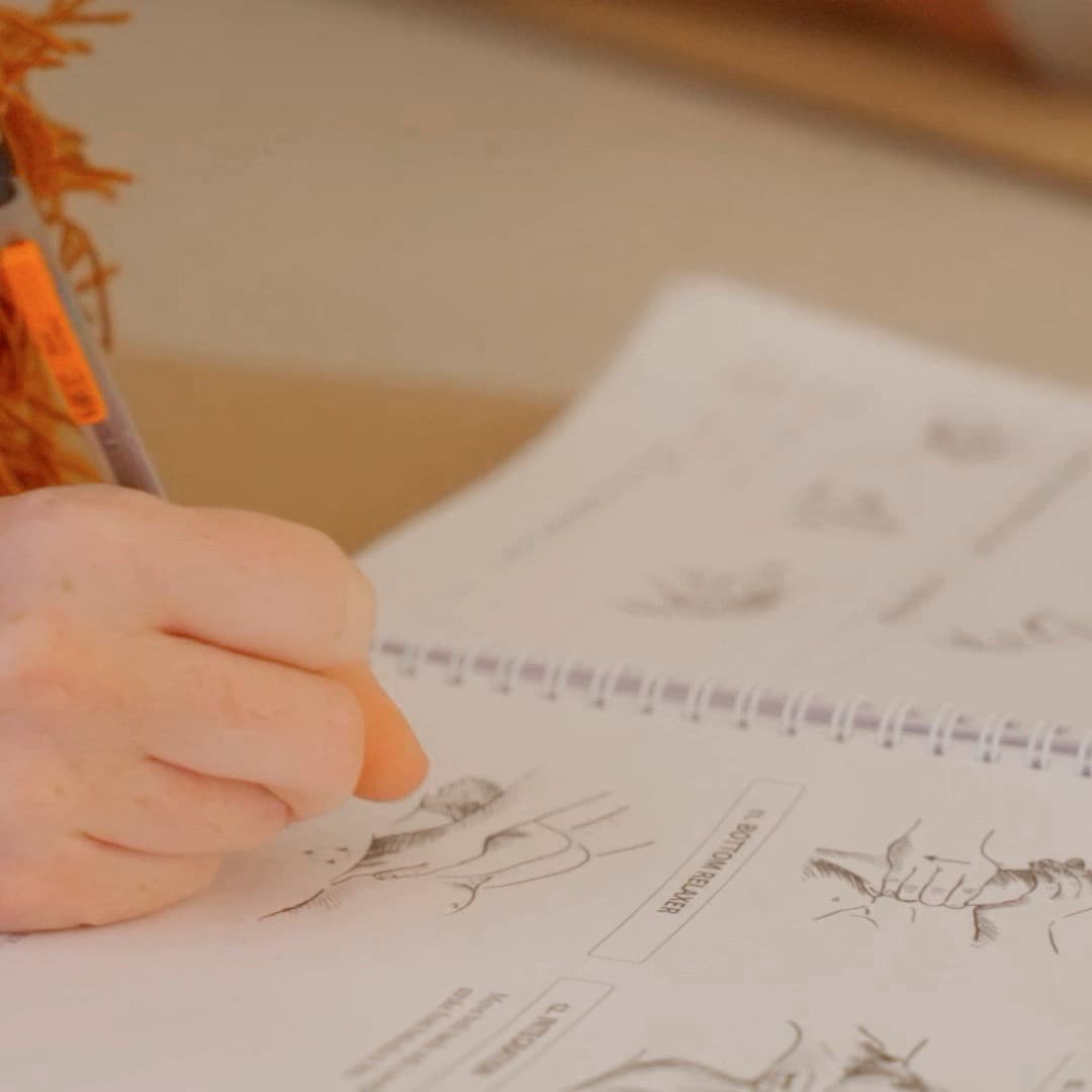 IAIM Teacher Training